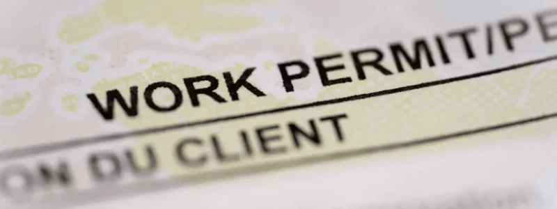 Power of Attorney Work Permit Sample for Turkish Lawyers-img