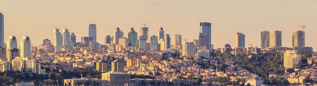 citizenship by investment